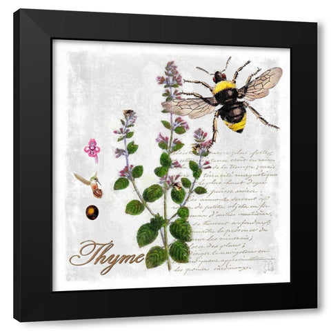 Botanical Garden Thyme Herb Black Modern Wood Framed Art Print with Double Matting by Lavoie, Tina