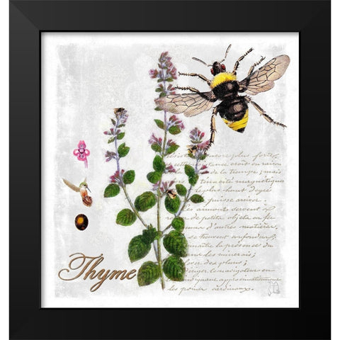Botanical Garden Thyme Herb Black Modern Wood Framed Art Print by Lavoie, Tina