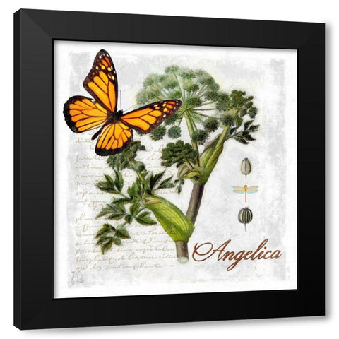 Botanical Gardern Angelica Herb Black Modern Wood Framed Art Print by Lavoie, Tina