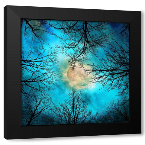 evening Black Modern Wood Framed Art Print with Double Matting by Lavoie, Tina