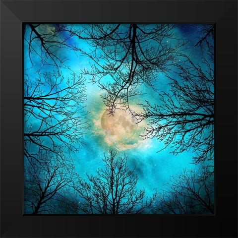 evening Black Modern Wood Framed Art Print by Lavoie, Tina