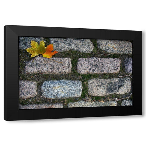 Old Montreal Cobblestones 02 Black Modern Wood Framed Art Print with Double Matting by Lavoie, Tina