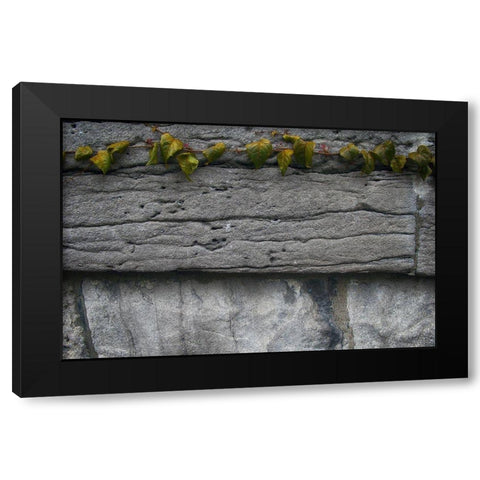 Old Montreal Ancient Wall and Ivy 2 Black Modern Wood Framed Art Print with Double Matting by Lavoie, Tina