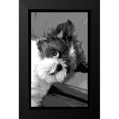 Say What Black Modern Wood Framed Art Print by Lavoie, Tina
