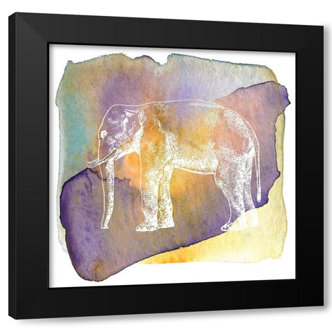 Color Spot Safari Animals elephant Black Modern Wood Framed Art Print with Double Matting by Lavoie, Tina