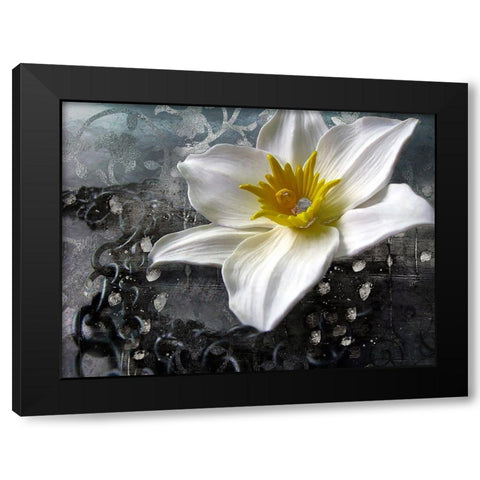 Frost Queen Black Modern Wood Framed Art Print by Lavoie, Tina