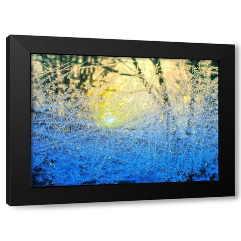 Ice Forest Black Modern Wood Framed Art Print with Double Matting by Lavoie, Tina
