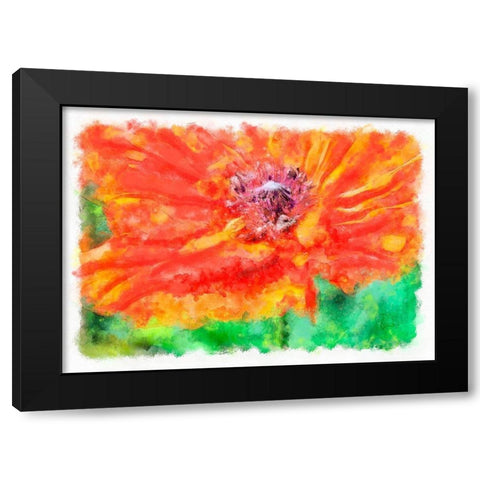 Ms Poppy Black Modern Wood Framed Art Print with Double Matting by Lavoie, Tina