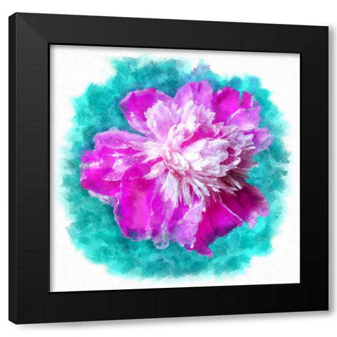 Pinky Black Modern Wood Framed Art Print by Lavoie, Tina