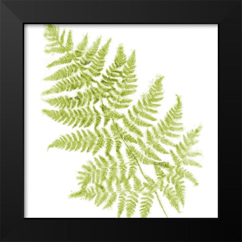 Fresh Black Modern Wood Framed Art Print by Lavoie, Tina