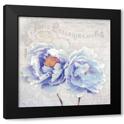 Bonjour Belle Black Modern Wood Framed Art Print by Lavoie, Tina