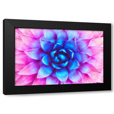 Agave Sunset Black Modern Wood Framed Art Print by Lavoie, Tina