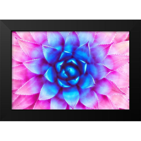 Agave Sunset Black Modern Wood Framed Art Print by Lavoie, Tina