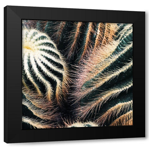 Cactus Black Modern Wood Framed Art Print with Double Matting by Lavoie, Tina