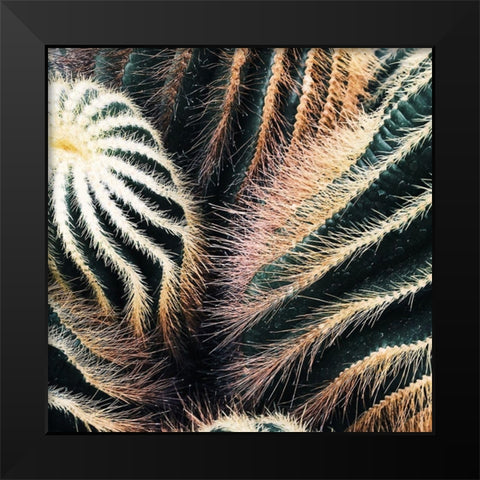 Cactus Black Modern Wood Framed Art Print by Lavoie, Tina