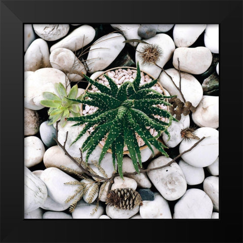 Succulent Summer Black Modern Wood Framed Art Print by Lavoie, Tina