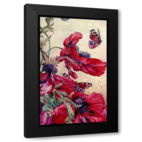 Poppy Nature Study 1917 Black Modern Wood Framed Art Print with Double Matting by Lavoie, Tina