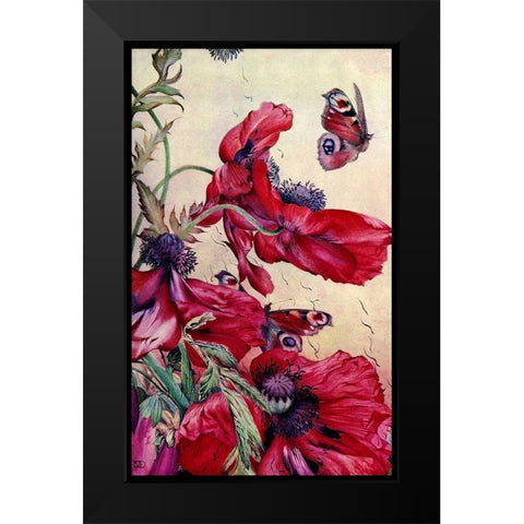 Poppy Nature Study 1917 Black Modern Wood Framed Art Print by Lavoie, Tina