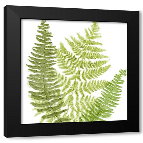 Fresh II Black Modern Wood Framed Art Print by Lavoie, Tina