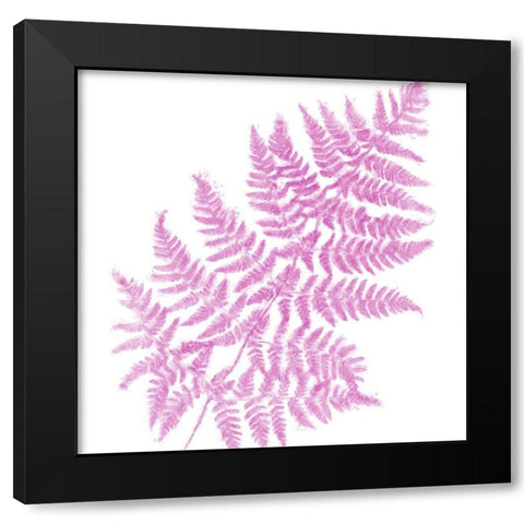 Fresh III Black Modern Wood Framed Art Print with Double Matting by Lavoie, Tina