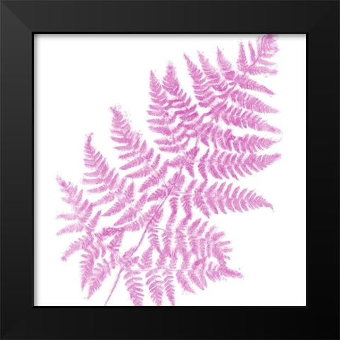 Fresh III Black Modern Wood Framed Art Print by Lavoie, Tina