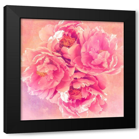 Peony Garden Black Modern Wood Framed Art Print with Double Matting by Lavoie, Tina