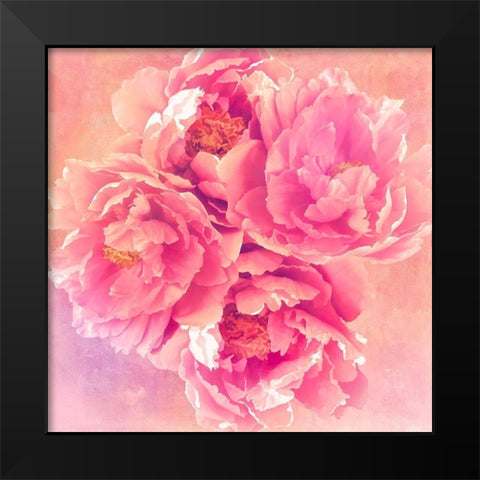 Peony Garden Black Modern Wood Framed Art Print by Lavoie, Tina