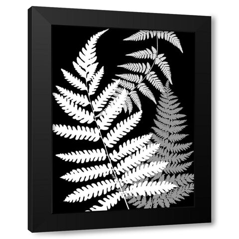 Tropics In Black And White IV Black Modern Wood Framed Art Print by Lavoie, Tina