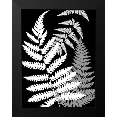 Tropics In Black And White IV Black Modern Wood Framed Art Print by Lavoie, Tina