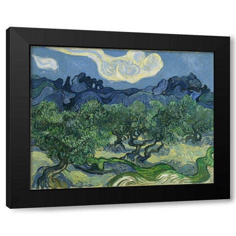 Van Gogh-Olive Trees Black Modern Wood Framed Art Print with Double Matting by Vintage Apple Collection