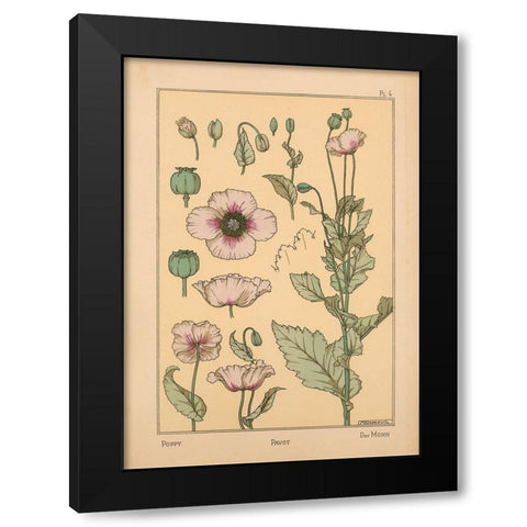 Plate 04 - Poppy Black Modern Wood Framed Art Print by Vintage Apple Collection