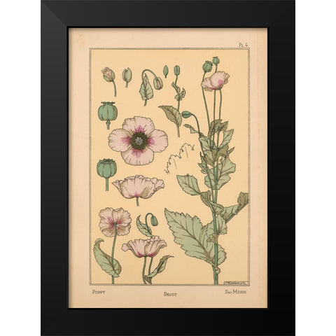Plate 04 - Poppy Black Modern Wood Framed Art Print by Vintage Apple Collection