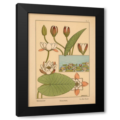 Plate 07 - Water-Lily Black Modern Wood Framed Art Print by Vintage Apple Collection