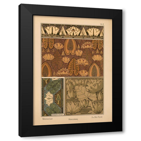 Plate 09 - Water-Lily Black Modern Wood Framed Art Print with Double Matting by Vintage Apple Collection