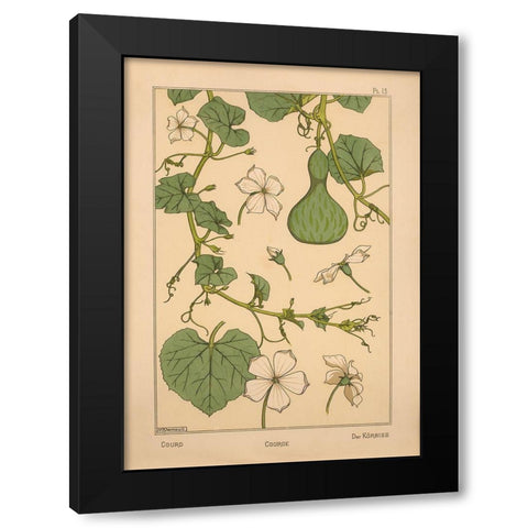 Plate 13 - Courd Black Modern Wood Framed Art Print by Vintage Apple Collection