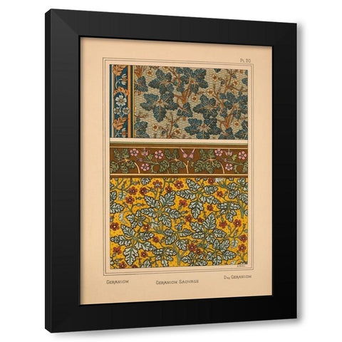 Plate 20 - Geranium Black Modern Wood Framed Art Print by Vintage Apple Collection