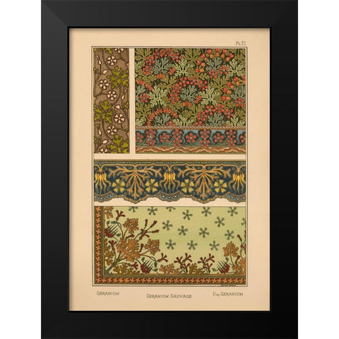 Plate 21 - Geranium Black Modern Wood Framed Art Print by Vintage Apple Collection