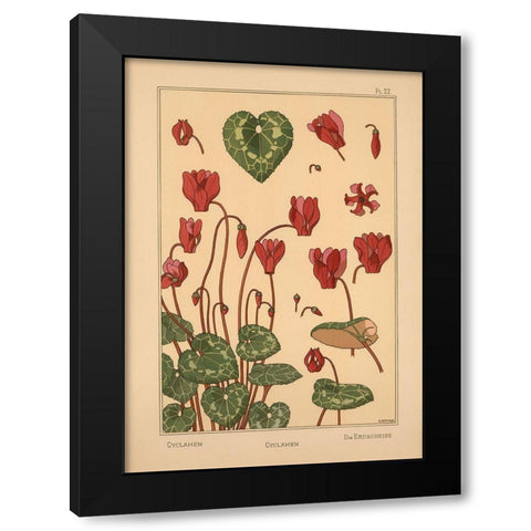 Plate 22 - Cyclamen Black Modern Wood Framed Art Print by Vintage Apple Collection
