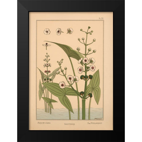 Plate 25 - Arrow-Head Black Modern Wood Framed Art Print by Vintage Apple Collection