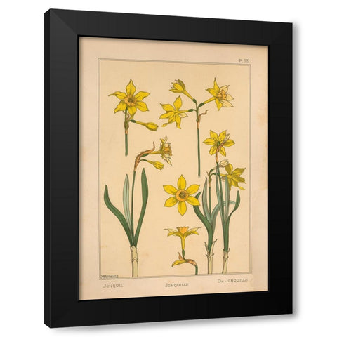 Plate 28 - Jonquil Black Modern Wood Framed Art Print with Double Matting by Vintage Apple Collection