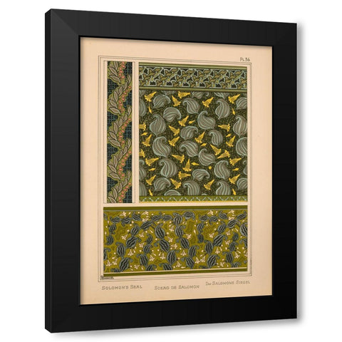 Plate 36 - Solomons Seal Black Modern Wood Framed Art Print by Vintage Apple Collection