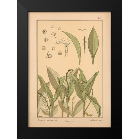 Plate 37 - Lily of the Valley Black Modern Wood Framed Art Print by Vintage Apple Collection