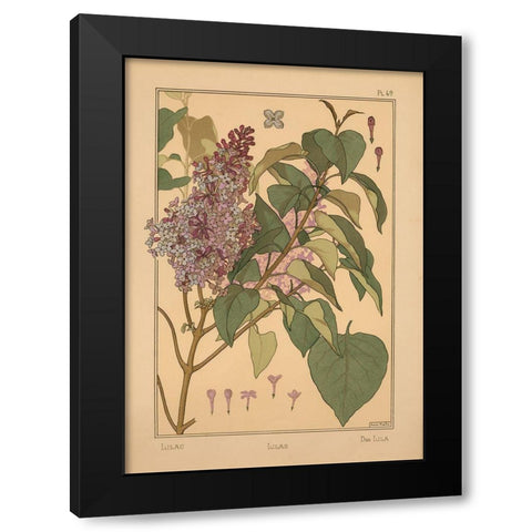 Plate 49 - Lilac Black Modern Wood Framed Art Print by Vintage Apple Collection