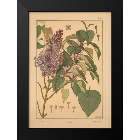 Plate 49 - Lilac Black Modern Wood Framed Art Print by Vintage Apple Collection