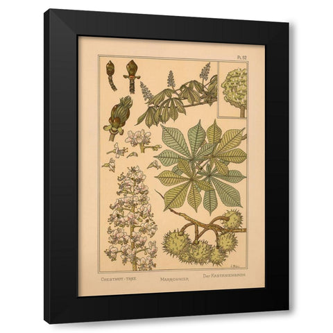 Plate 52 - Chestnut-tree Black Modern Wood Framed Art Print by Vintage Apple Collection