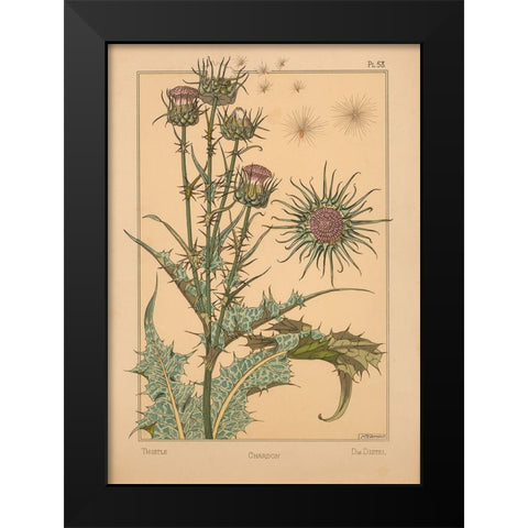 Plate 58 - Thistle Black Modern Wood Framed Art Print by Vintage Apple Collection