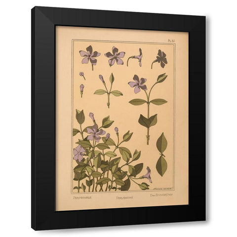 Plate 61 - Periwinkle Black Modern Wood Framed Art Print with Double Matting by Vintage Apple Collection
