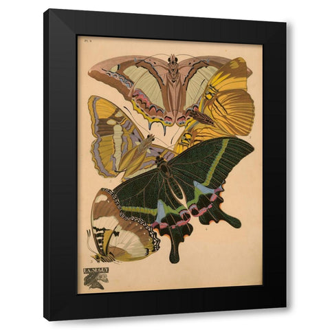 Plate 8 - Papillons Black Modern Wood Framed Art Print by Vintage Apple Collection