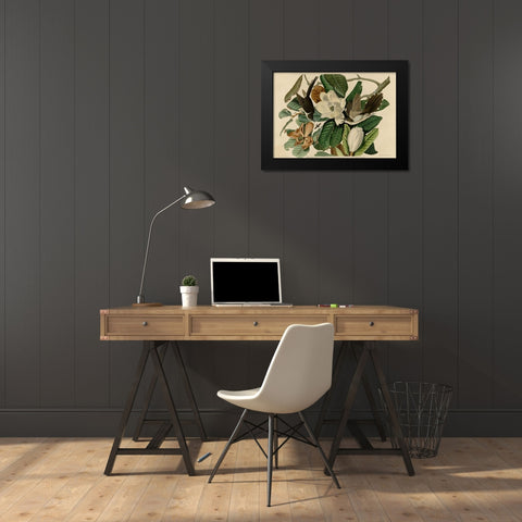 Blackbilled Cuckoo Black Modern Wood Framed Art Print by Vintage Apple Collection