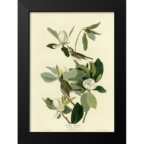 Warbling Flycatcher Black Modern Wood Framed Art Print by Vintage Apple Collection